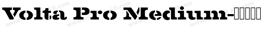 Volta Pro Medium字体转换